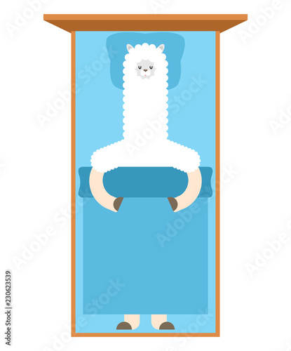 Llama Sleeping in bed. Lama Cute animal alpaca. cartoon vector