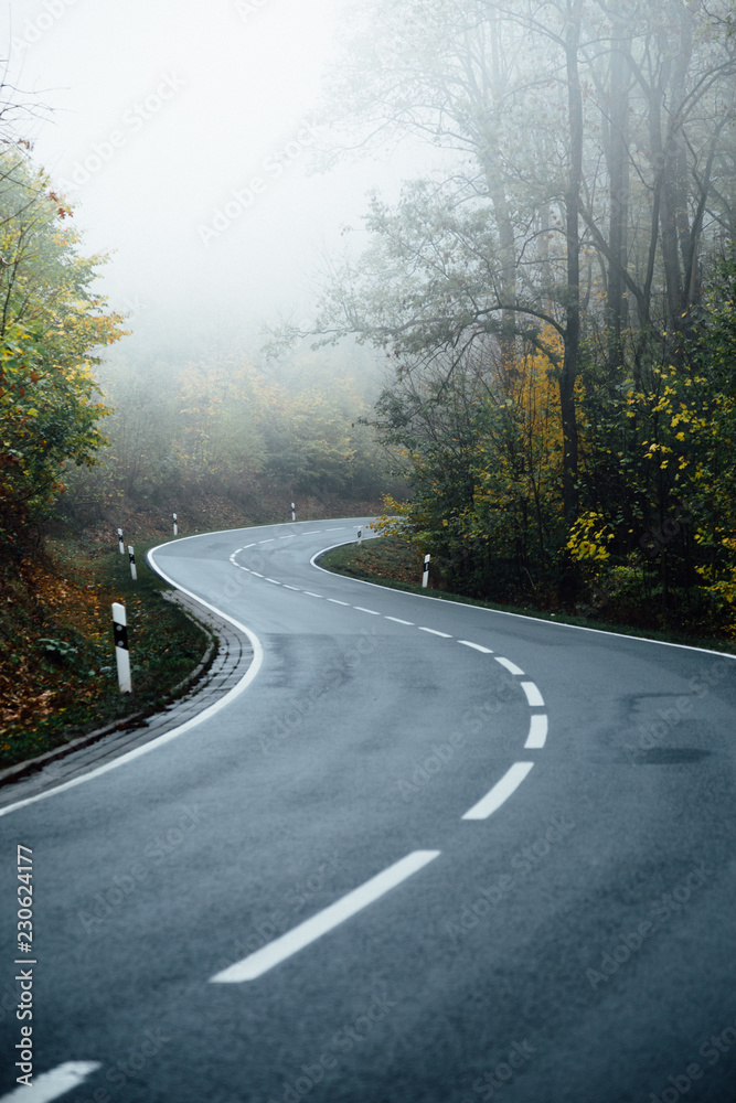 Fototapeta premium Kurven und nasse Straße führen durch den Wald