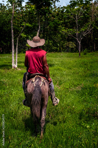 arriero colombiano