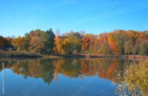 Autumn landscape with yellow trees, reflection and blue sky