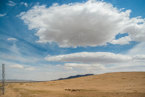 Mongolian wild steppe