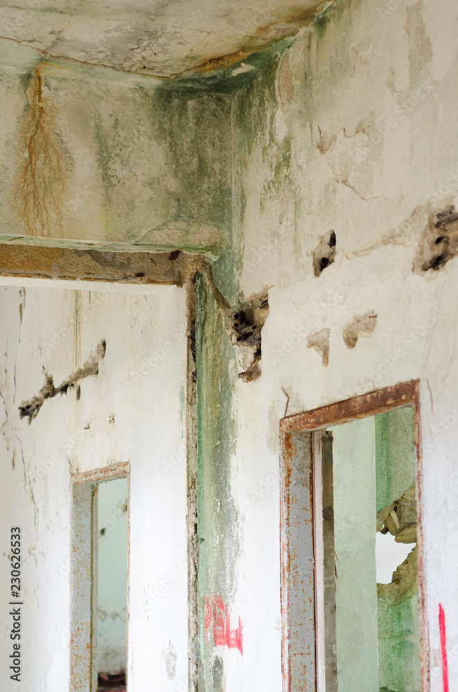 Water Damage On Fungus Mold Weathered Wall Water Damage On Fungus Mold Weathered Wall