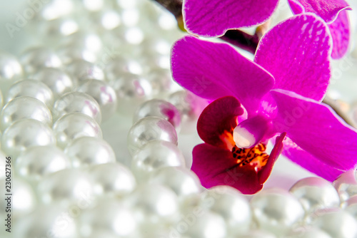 pearl and purple orchid on a white glass 