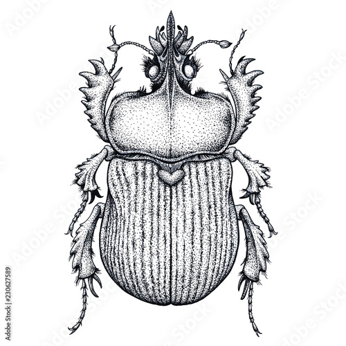 Scarab beetle tattoo. Dot work tattoo. Insect. Symbol of eternal life, resurrection, revival