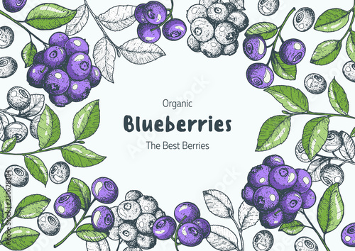 Blueberries frame vector illustration. Hand drawn berries. Vintage style design. Organic food, healthy food.