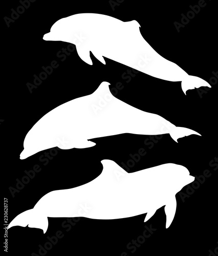 three white dolphins silhouettes on black