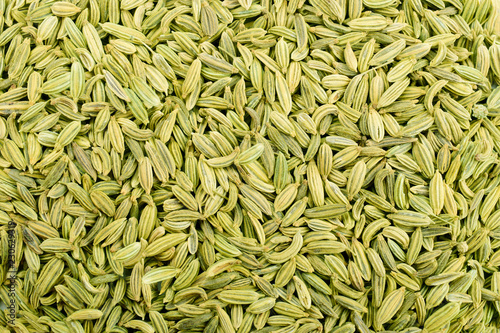 Healthy Fennel Seed or Saunf Indian Traditional Digestive Food and mouth freshner