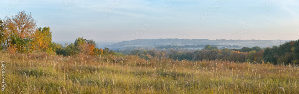 Meadow in autumn. Panoramic view. Ukraine.