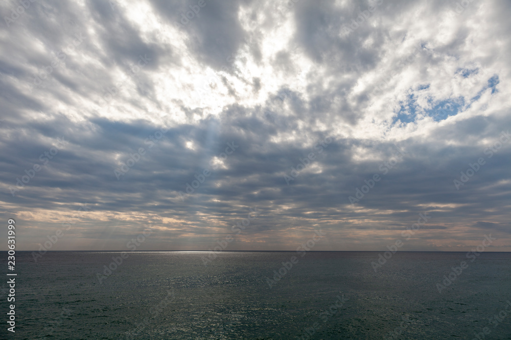 海　海岸　太平洋　サーファー