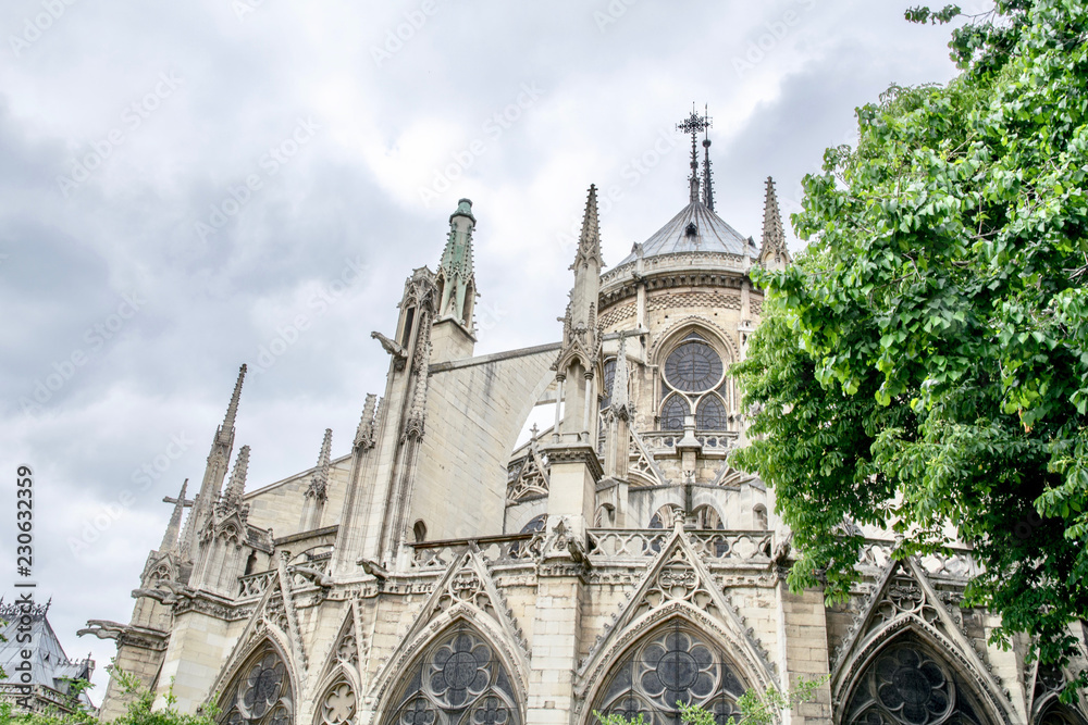 Obraz premium Notre dame de Paris