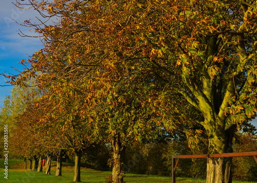 Line up for Autumn colours