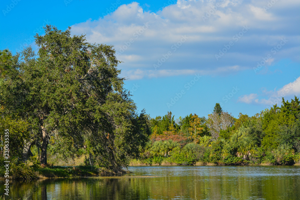 Fototapeta premium Beautiful view at Lake Seminole, Seminole, Florida