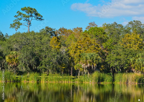 Beautiful view at Lake Seminole, Seminole, Florida photo