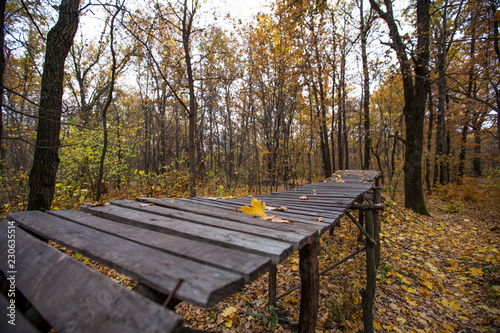 wooden ramp in the forest