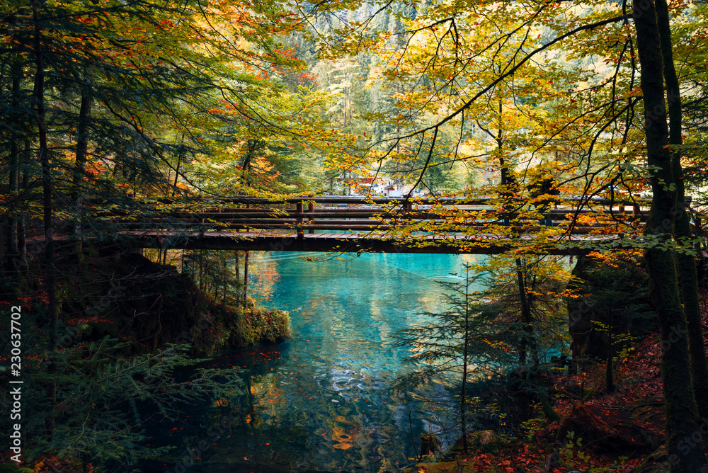Autumn time at romantic forest lake Blausee, Switzerland. Stock Photo |  Adobe Stock