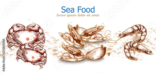 Seafood isolated template crab, mussels, seafood Vector. Fresh banner design ...