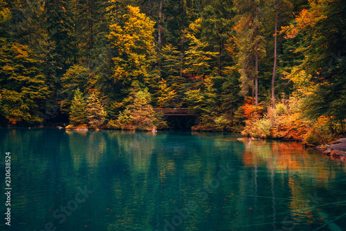 Autumn time at romantic forest lake Blausee, Switzerland.