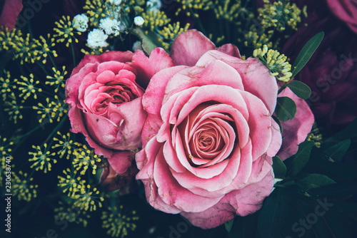 Beautiful fairy dreamy magic flowers.