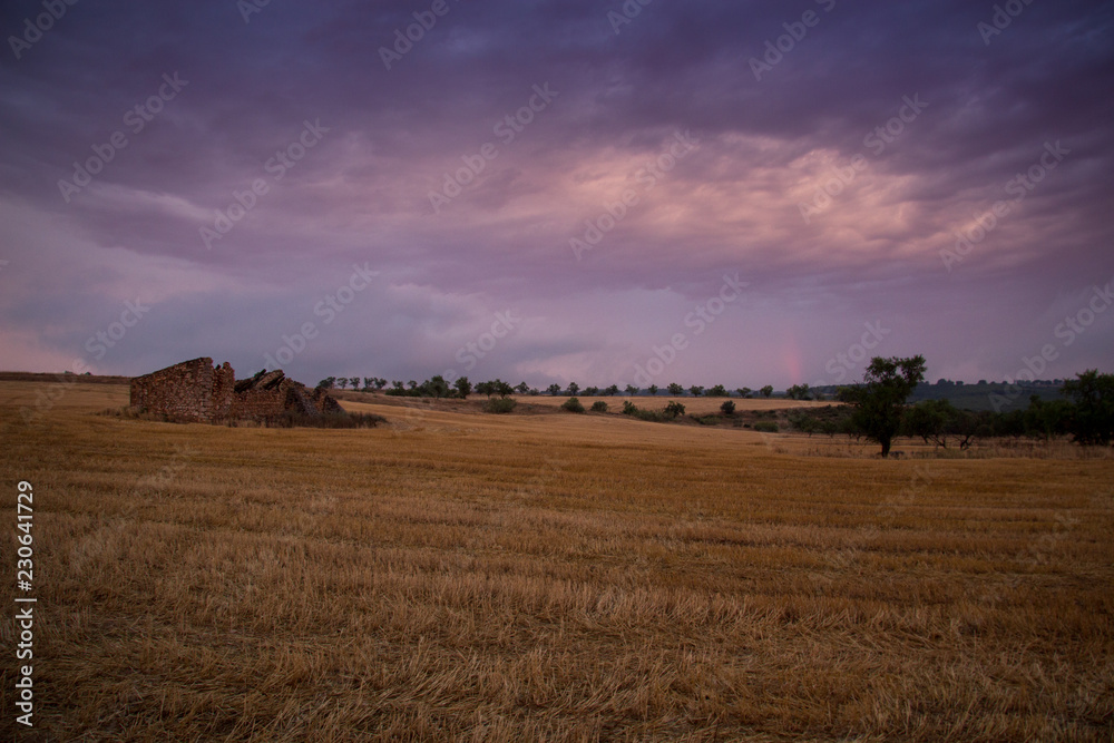 paisaje natural con cielo