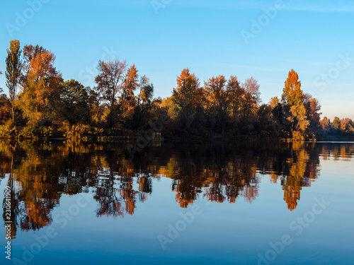 landscape of a forest in beautiful fall colors reflected in the still waters of a calm river