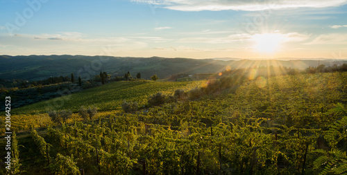 Foto Vigneti del Chianti al tramonto col sole al tramonto e raggi del sole