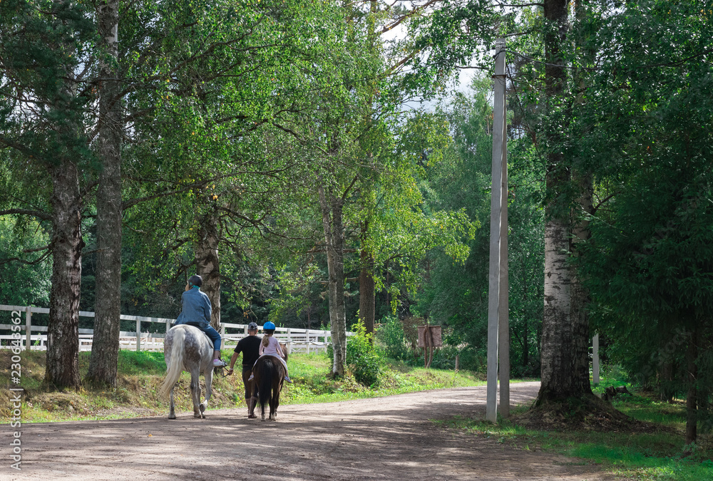 Equestrian horse with a female rider after a training walk from the paddock to the pasture. Equestrian horse with a female rider after a training walk from the paddock to the pasture.