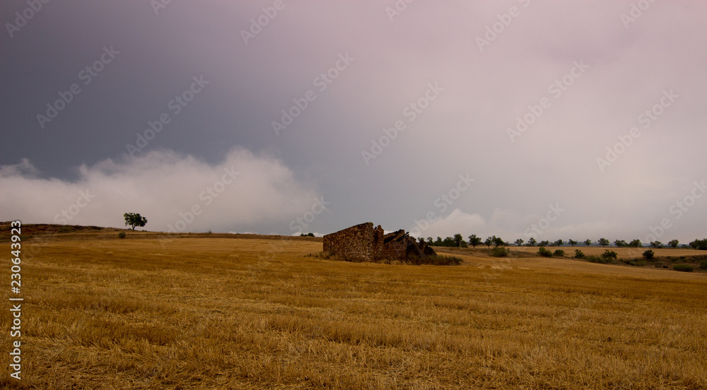 Fototapeta premium paisaje natural con cielo