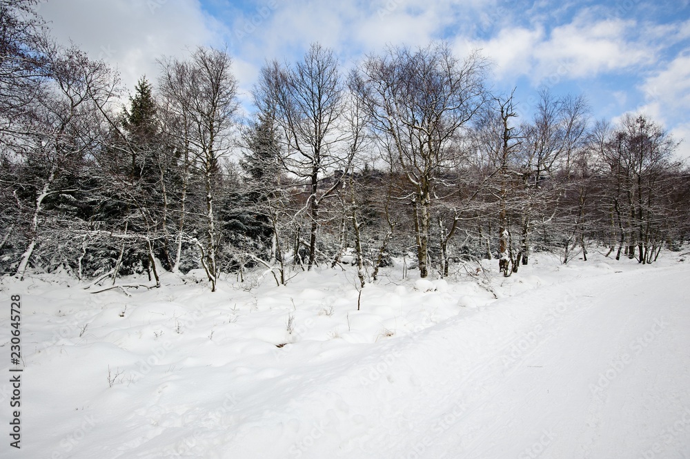 Winter landscape covered with snow Winter landscape covered with snow