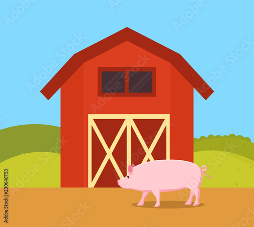 Pig in Nature of Farm Ranch Vector Illustration
