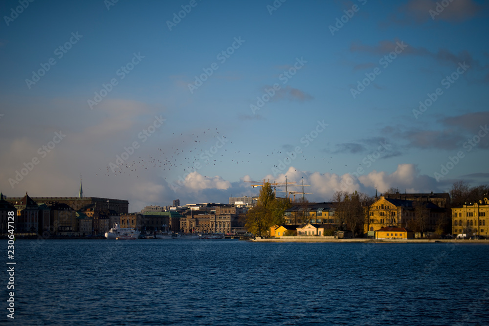 Water view over Stockholm an late autumn day, snowy, sun and clear sky over boats and landmarks