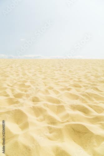 Sand desert at Dune du Pilat  close-up