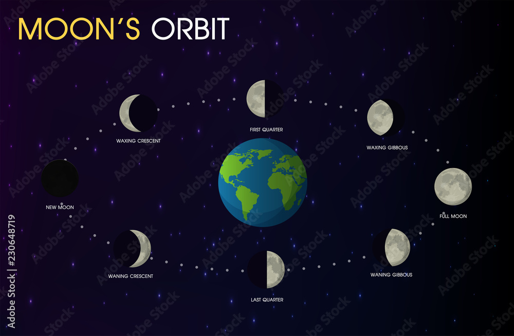 Moon's Orbit. illustration Vector EPS10
