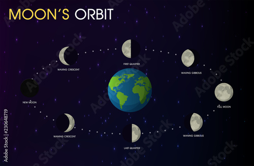 Fototapeta Naklejka Na Ścianę i Meble -  Moon's Orbit. illustration Vector EPS10