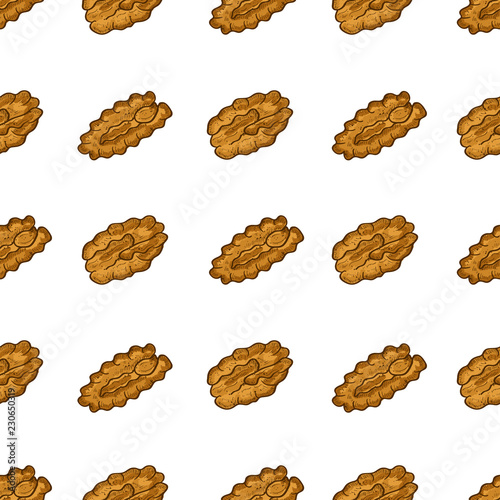 Pecan. Nut. Sketch. Wallpaper, seamless, texture. White background.