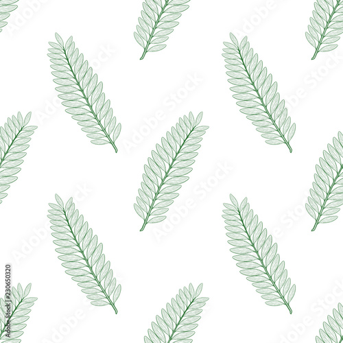 Mimosa. Leaves. Background, wallpaper, seamless. Sketch. Monochrome. Green