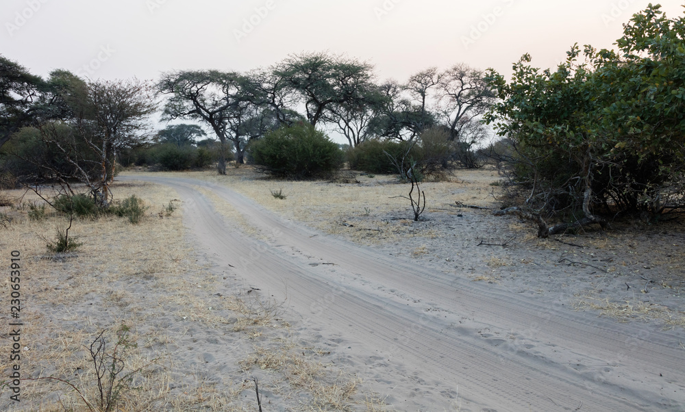 Sandy road in Botswana