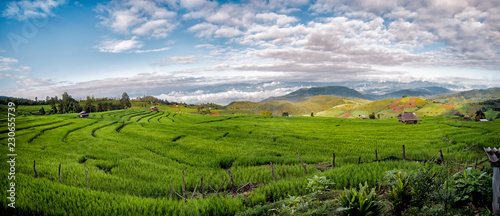 Pa Bong Piang Rice Terraces in Chiang Mai, Thailand, Panoramic view