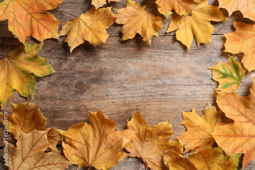 Composition with autumn leaves and space for text on wooden background  top view
