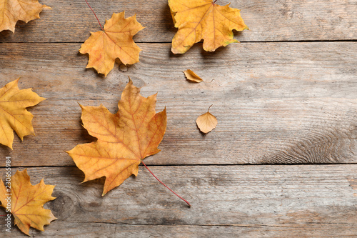 Composition with autumn leaves and space for text on wooden background, top view