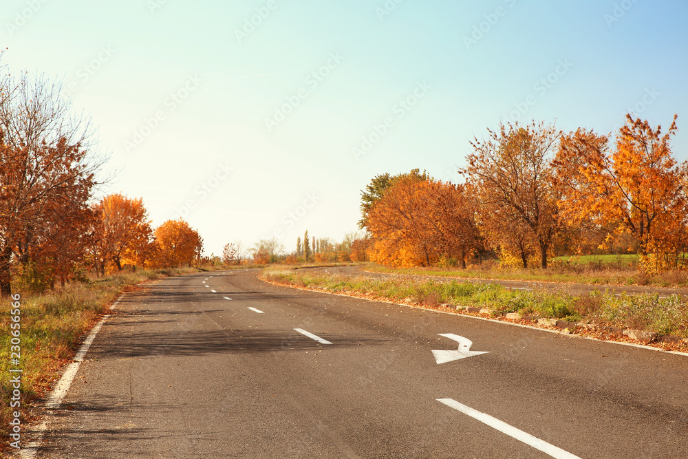 Fototapeta premium Beautiful autumn landscape with trees and dry leaves on road