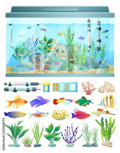 Aquarium with Fish and Decoration Illustration photo