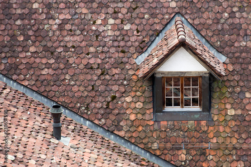 Roof of a traditional house...