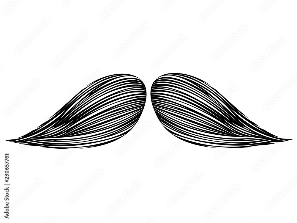 Isolated detailed mustache image. Vector illustration design Isolated detailed mustache image. Vector illustration design