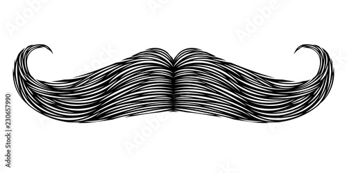 Isolated detailed mustache image. Vector illustration design