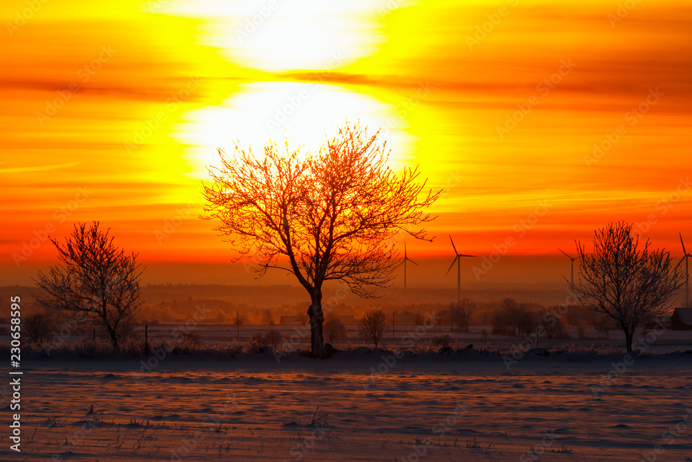 Fototapeta premium Sunrise with silhouette trees and wind turbines in the background in the winter