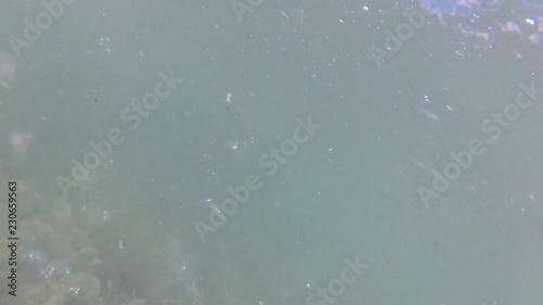 Fondale marino - ISOLA DI VULCANO