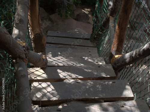 Wallpaper Mural old wood Torontodigital.ca