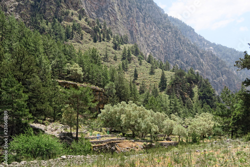 Samaria Gorge landscape at Crete, Greece. olive tree plantation of old village Samaria.