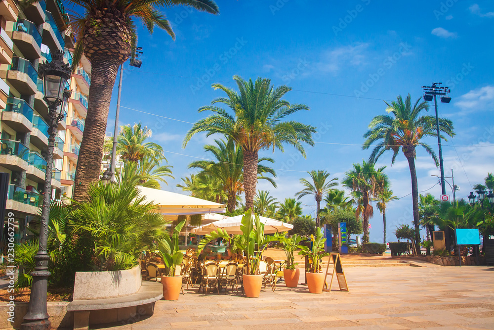 Palms trees on Waterfront in Lloret de Mar, Costa Brava, Spain