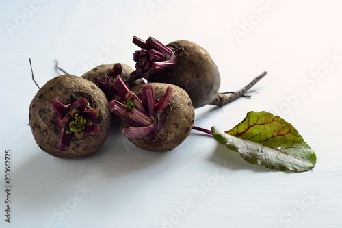 Raw young organic beets and leaves, copy space